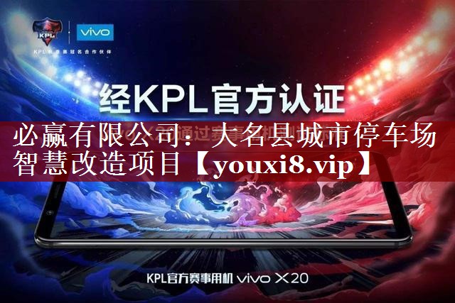 必赢有限公司:大名县城市停车场智慧改造项目 必赢有限公司:大名县城市停车场智慧改造项目
