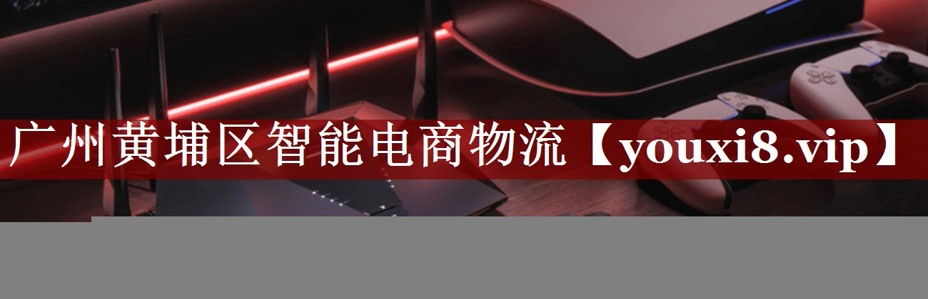 广州黄埔区智能电商物流