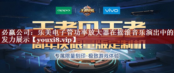 乐美电子管功率放大器在摇滚音乐演出中的爆发力展示 乐美电子管功率放大器在摇滚音乐演出中的爆发力展示